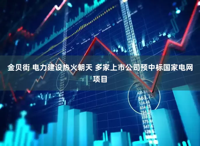 金贝街 电力建设热火朝天 多家上市公司预中标国家电网项目