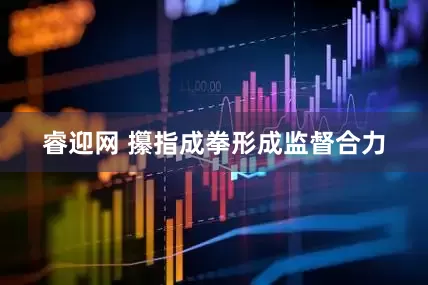 睿迎网 攥指成拳形成监督合力