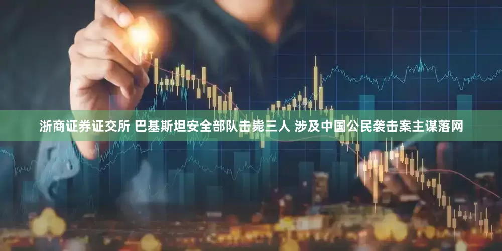 浙商证券证交所 巴基斯坦安全部队击毙三人 涉及中国公民袭击案主谋落网
