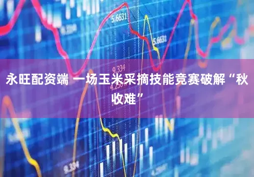 永旺配资端 一场玉米采摘技能竞赛破解“秋收难”