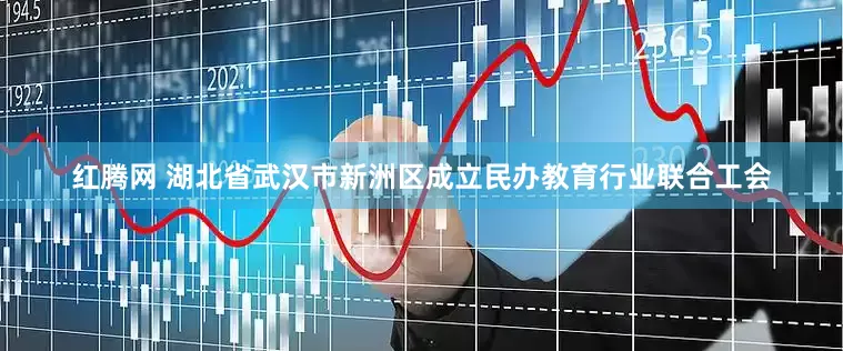 红腾网 湖北省武汉市新洲区成立民办教育行业联合工会