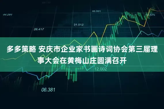 多多策略 安庆市企业家书画诗词协会第三届理事大会在黄梅山庄圆满召开