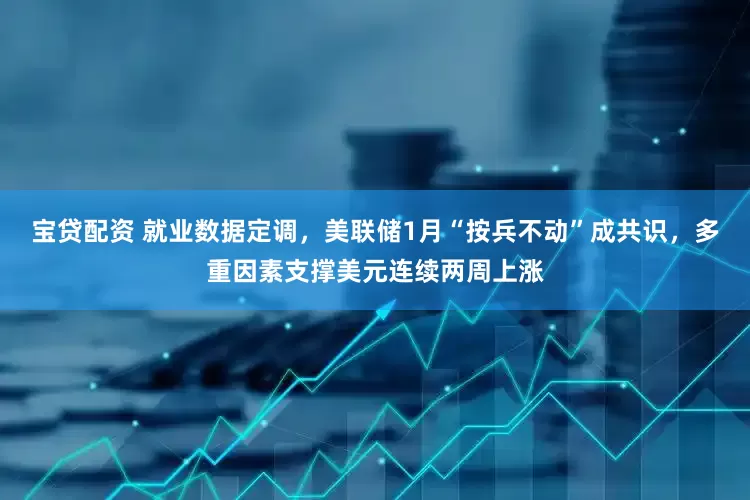 宝贷配资 就业数据定调，美联储1月“按兵不动”成共识，多重因素支撑美元连续两周上涨