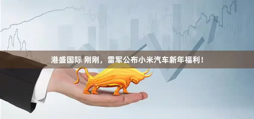 港盛国际 刚刚，雷军公布小米汽车新年福利！