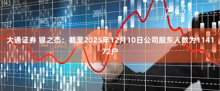大通证券 银之杰：截至2025年12月10日公司股东人数为114172户