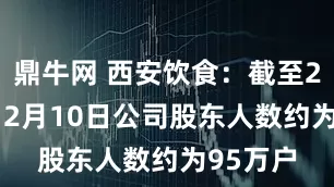 鼎牛网 西安饮食：截至2025年12月10日公司股东人数约为95万户